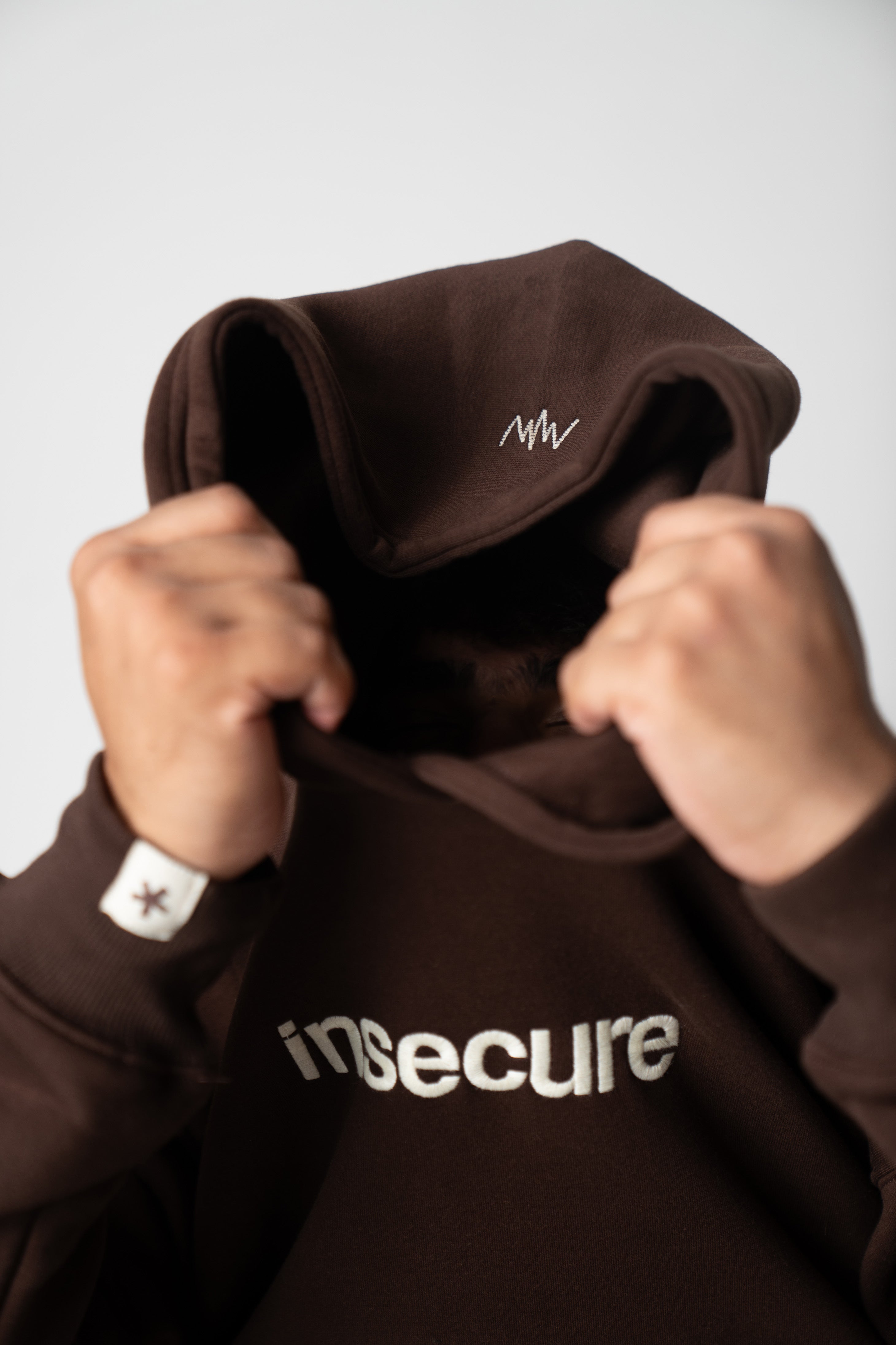 Insecure Brown Hoodie